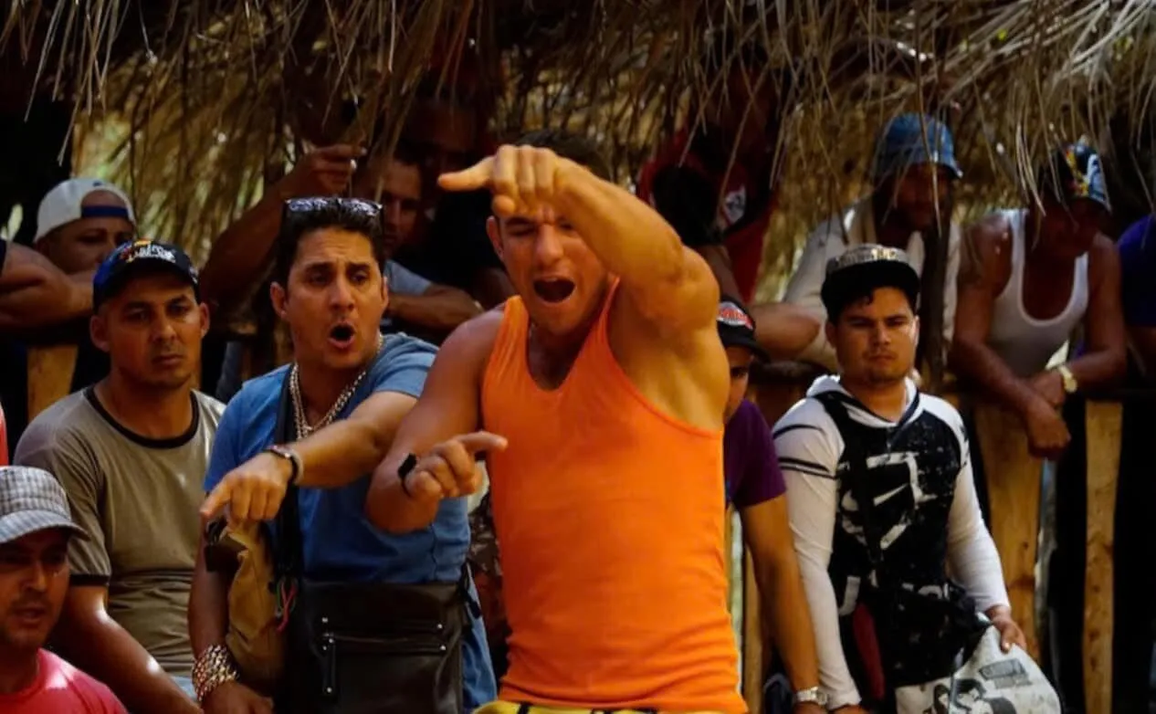 Đá Gà Chọi Cuba Shbet Trò Chơi Đá Gà Hay Hấp Dẫn Nhất Mọi Thời Đại 2 Giống Đá Gà Chọi Cuba Shbet là gì, một số đặc điểm nhận biết về giống gà này