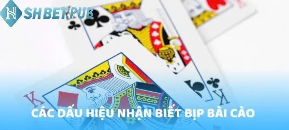 Hướng dẫn cách chơi bài cào bịp Shbet game bài cho thành viên mới tham gia