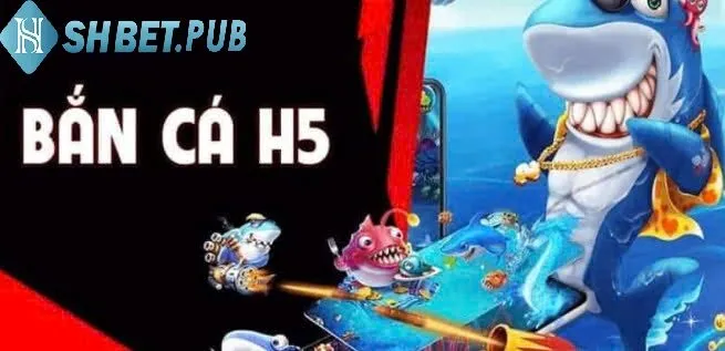 Giải đáp thắc mắc về trò chơi bắn cá đổi thưởng H5